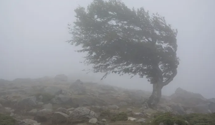 Cod galben la Cluj. Meteorologii anunță intensificări ale vântului în acest weekend