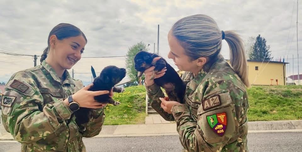 Dincolo de uniformă: gest impresionant al unor femei militar care au devenit „mame” pentru doi cățeluși rămași orfani FOTO