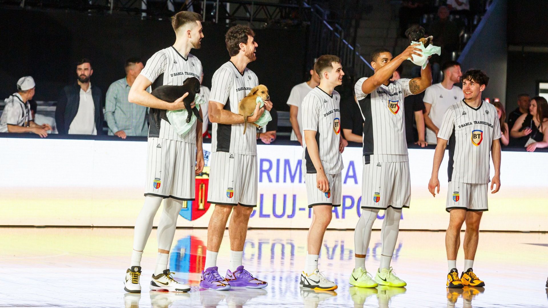 Emoție la BT Arena! Baschetul clujean și cățeii fără stăpân au cucerit inimile fanilor în campania „Adoptă un prieten pe viață” - VIDEO