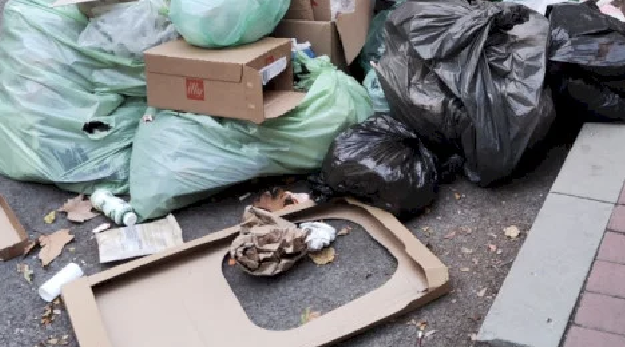 Oameni ai străzii umblă prin gunoaie și le împrăștie peste tot! O stradă din Cluj, transformată zilnic în groapă de gunoi: „Trebuie închise containerele”