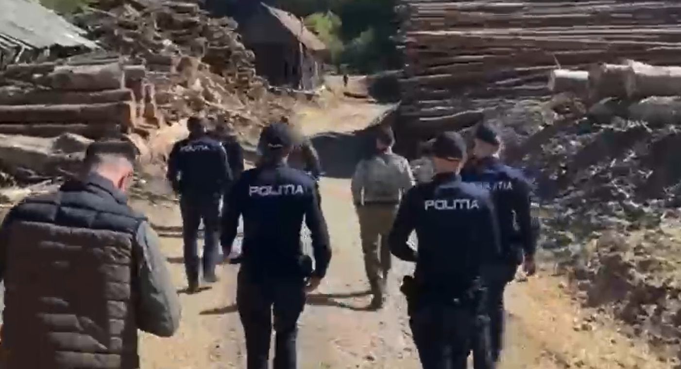 VIDEO. Hoții de lemn își fac de cap în Cluj. Descindere a polițiștilor la un depozit unde au fost găsite nereguli grave. Prejudiciu de peste 100.000 de lei