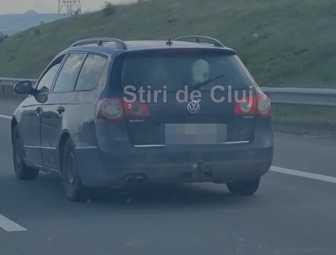 VIDEO. Mare e grădina ta! Doi viței „de companie”, plimbați cu mașina pe A10 între Turda și Aiud: „Oare cum mirosea dacă au avut micuții o «urgență»?”