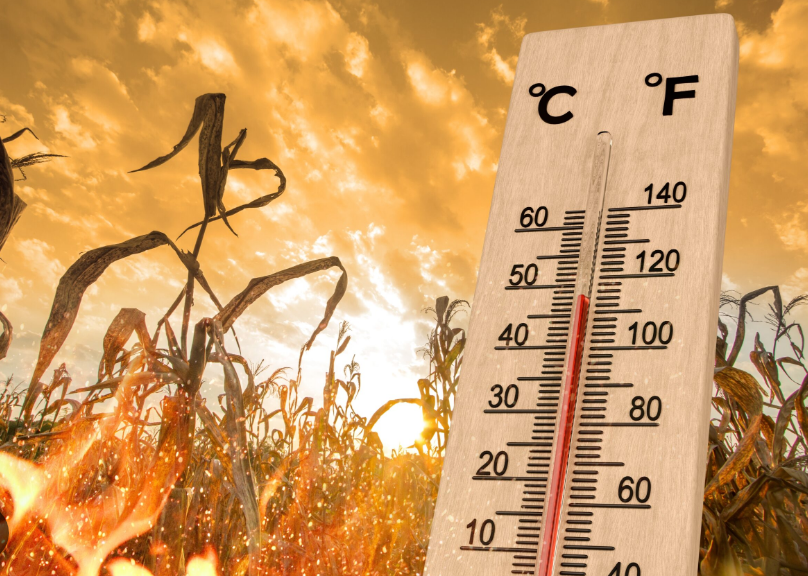 COD ROȘU de caniculă în județul Cluj: Temperaturi extreme în următoarele zile! Vă avertizăm să nu stați prea mult afară, mai ales la orele prânzului