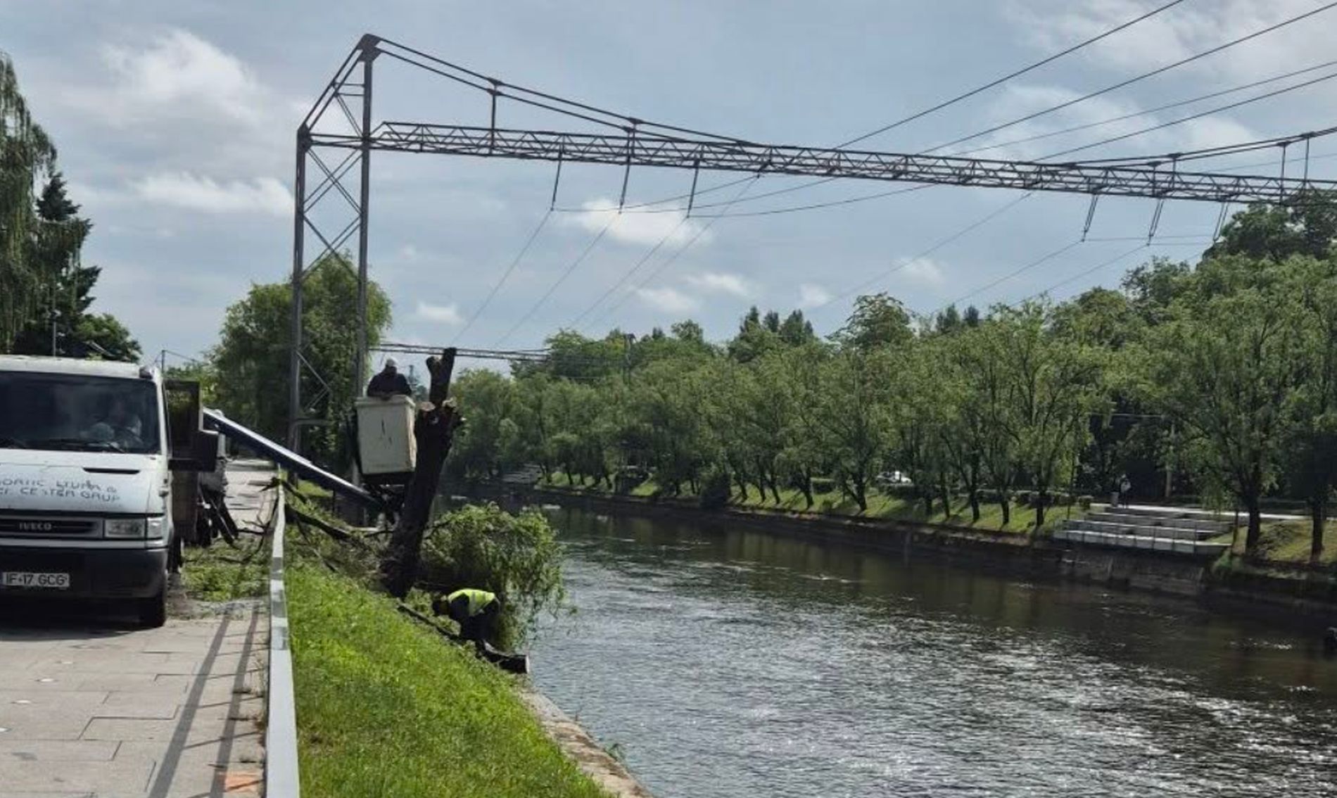 Copaci tăiați pe malul Someșului, între Podul Napoca și Garibaldi. Primăria încearcă să-i liniștească pe oamenii nemulțumiți: „Am primit avizele necesare”