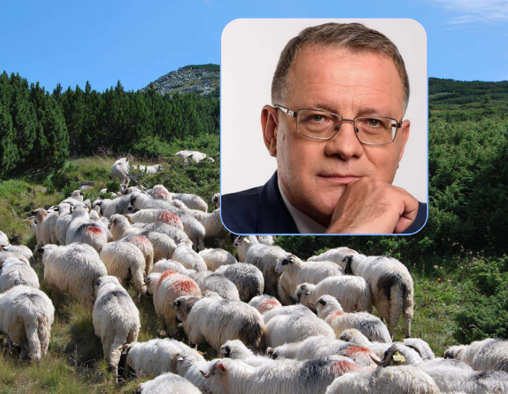 Haos în sectorul ovin! Acuzații dure de la Cluj la adresa ANSVSA: „Băieții șmecheri fac mulți bani. Din locul 1 la ovine, am ajuns la exporturi blocate”