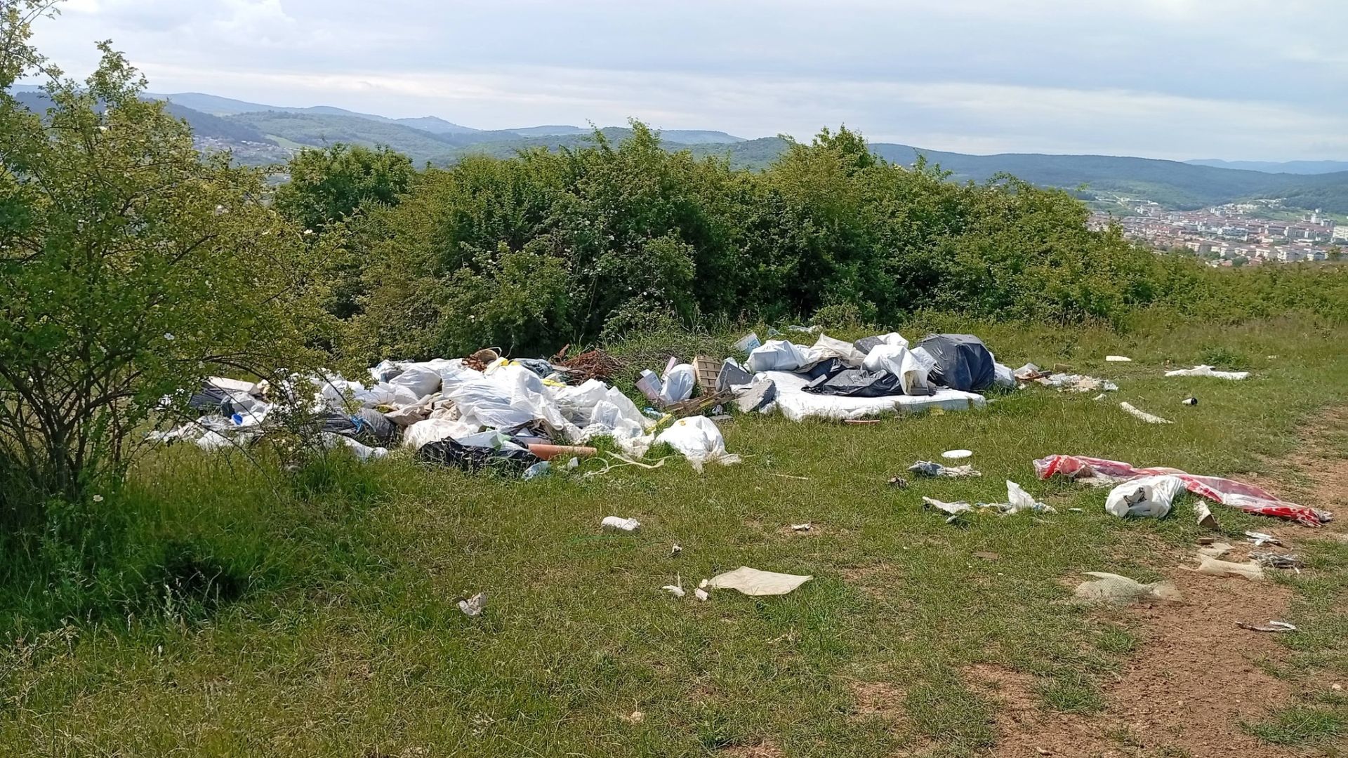 Mizerie de nedescris lângă Cluj-Napoca! Pădure transformată în groapă de gunoi în Florești: „Băi, chiar nu îi vede nimeni pe oamenii ăștia?” - FOTO