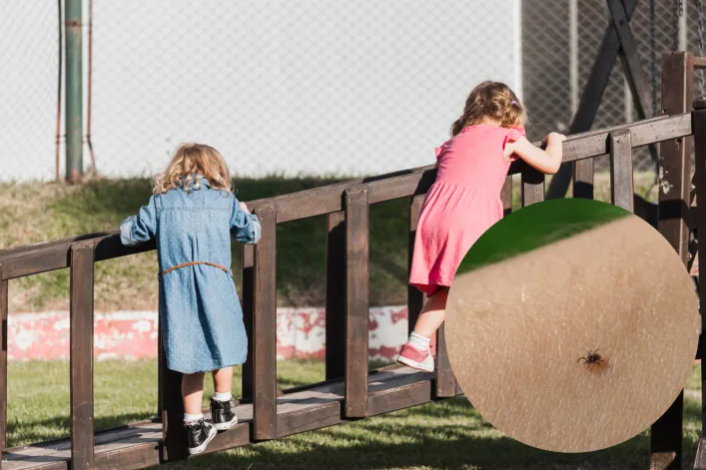 Pericol ascuns în iarba dintr-un parc din Cluj-Napoca! Părinții trag un semnal de alarmă: „Fetița mea a fost mușcată”