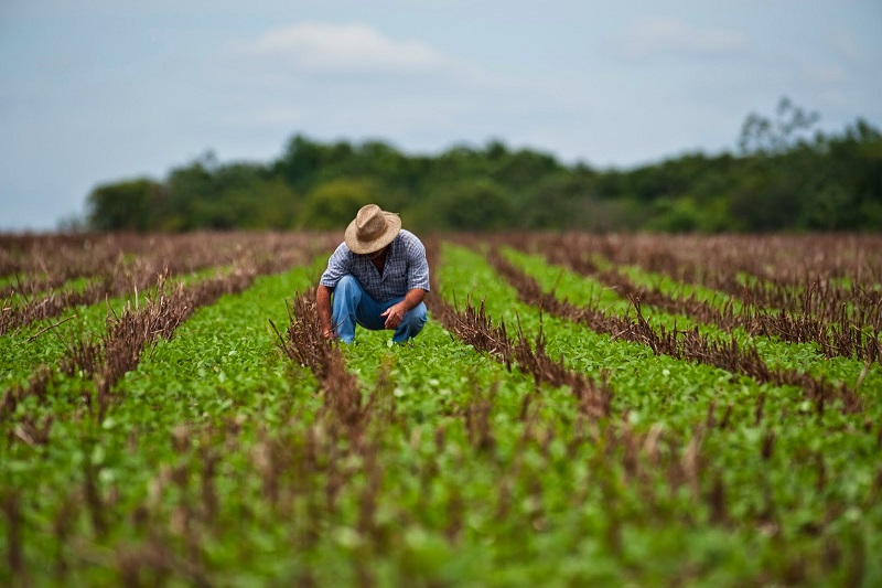 România a luat 1,1 miliarde de euro de la Comisia Europeană pentru agricultură. Ce înseamnă asta pentru fermieri și comunele din țară