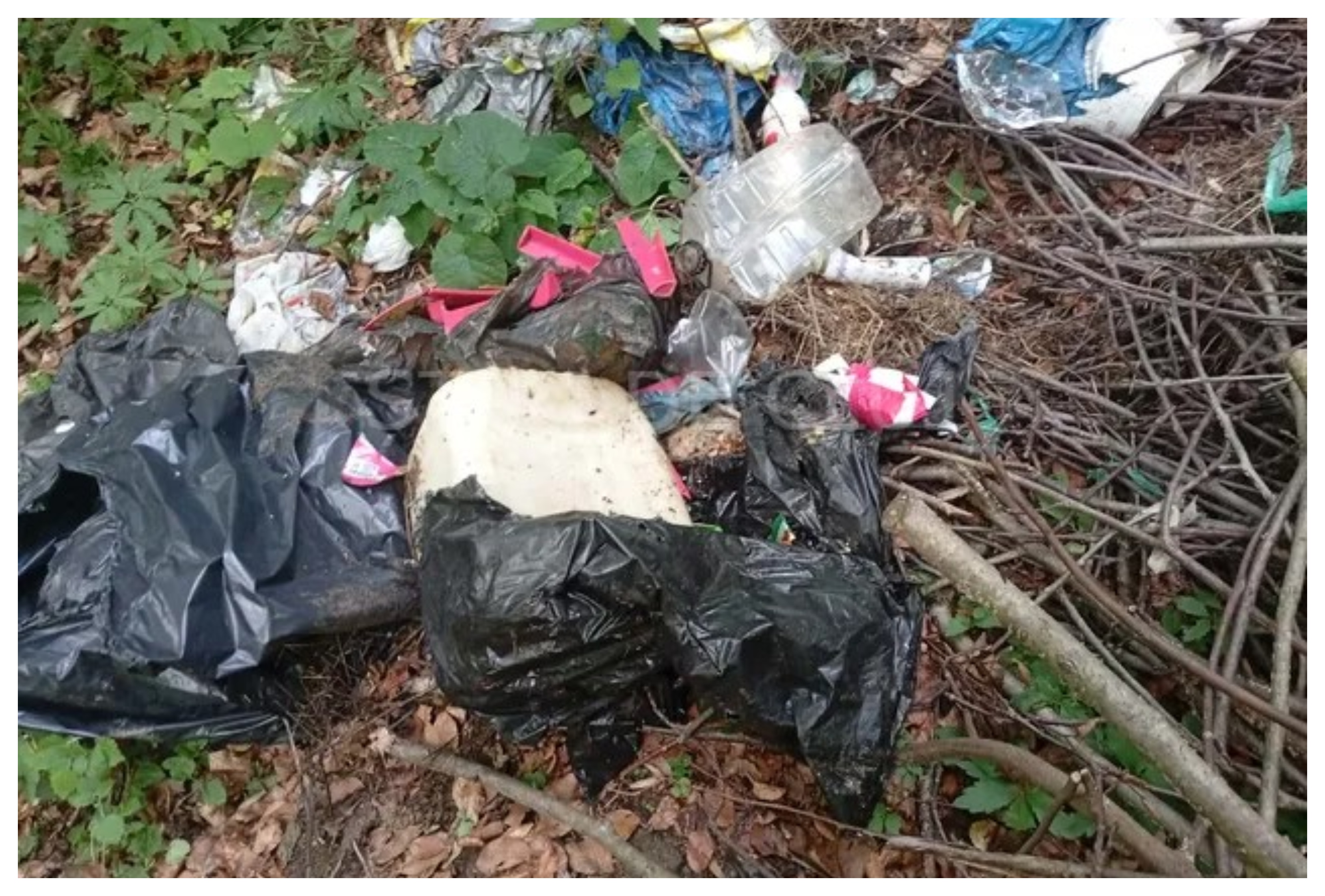 Rușine! O pădure dintr-o comună din Cluj a fost transformată în groapă de gunoi FOTO/VIDEO