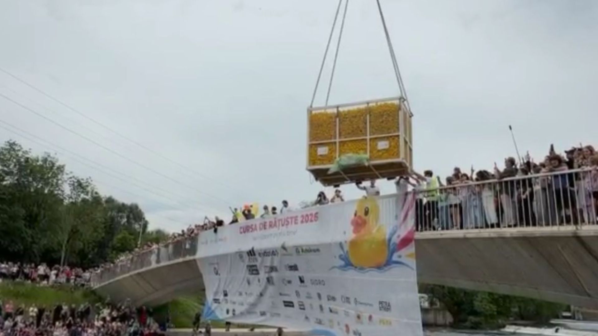 Spectacol inedit în Cluj-Napoca! A început Cursa de Rățuște 2026 pe Someș. Sute de Clujeni s-au adunat pentru acest eveniment inedit - VIDEO