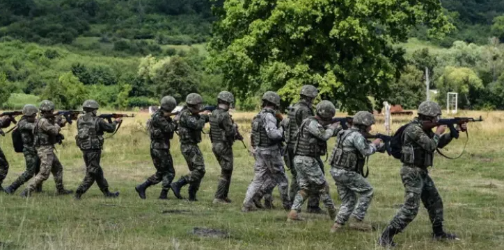 Țară, țară, vrem ostași! Armata Română face angajări masive! Aproape 7.000 de posturi, scoase la concurs în toată țara
