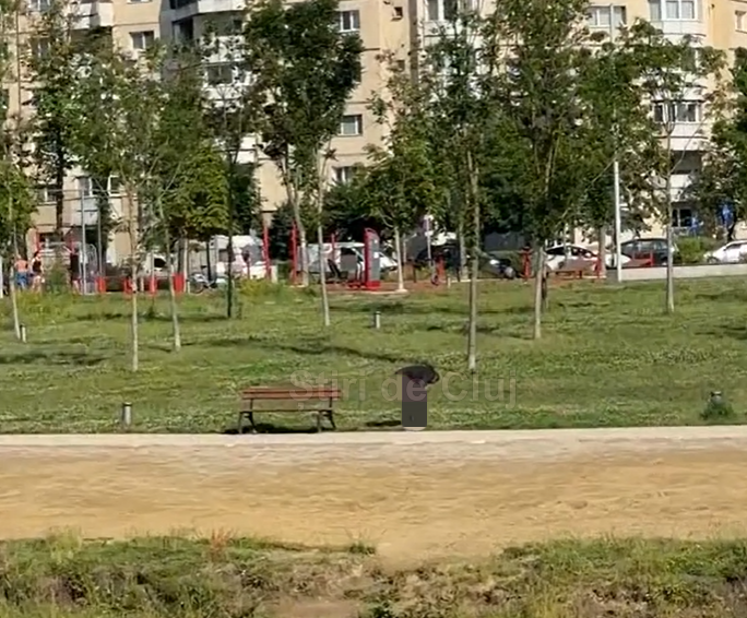 VIDEO. Clujean surprins în timp ce își face nevoile în public, în plină zi. Ce părere aveți despre astfel de scene tot mai frecvente în oraș?
