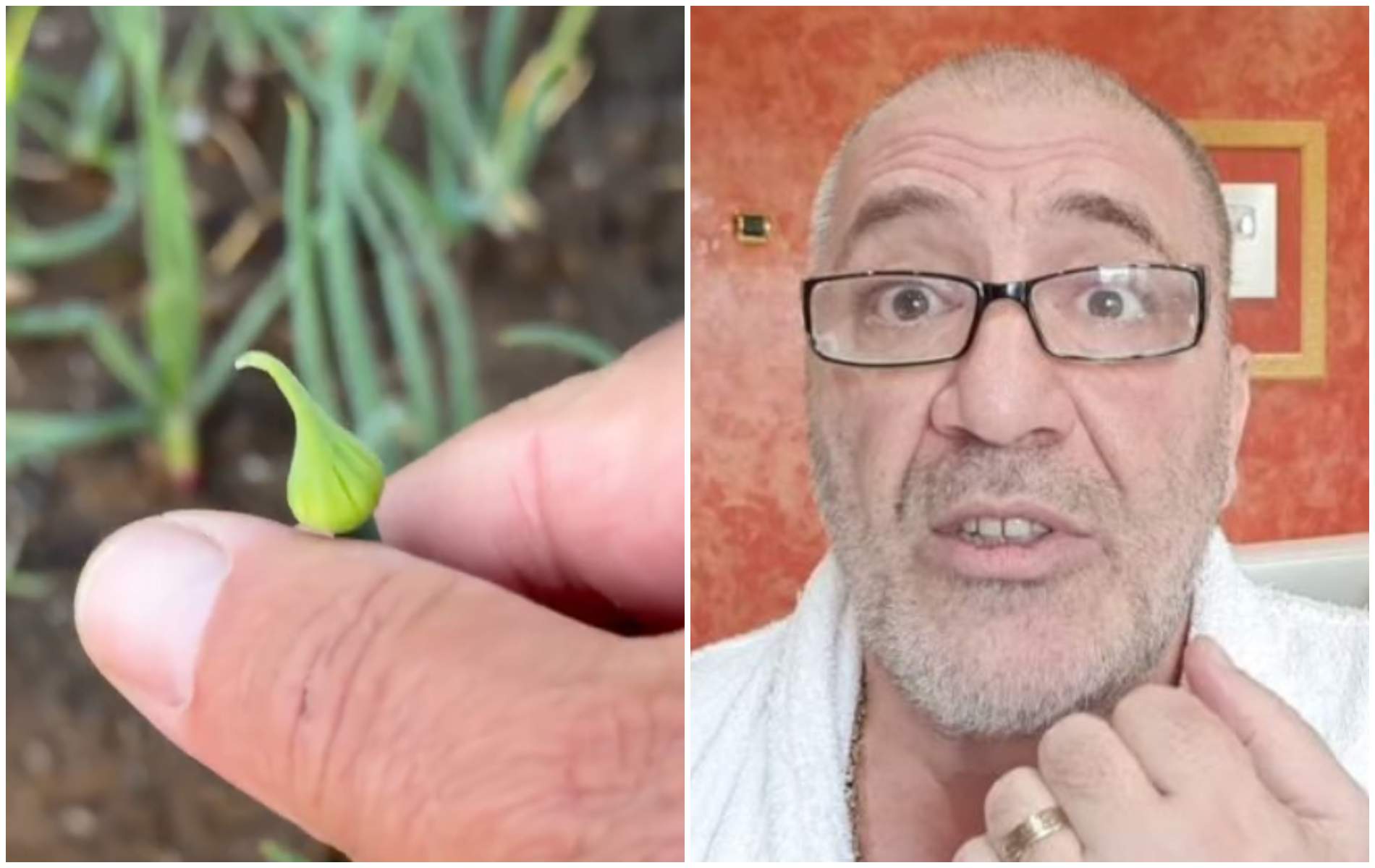 VIDEO. Nelson Mondialu s-a apucat de agricultură, dar cere ajutorul românilor după ce culturile i-au dat bătăi de cap: „Așa în vârf, ce-s astea? Uitați”