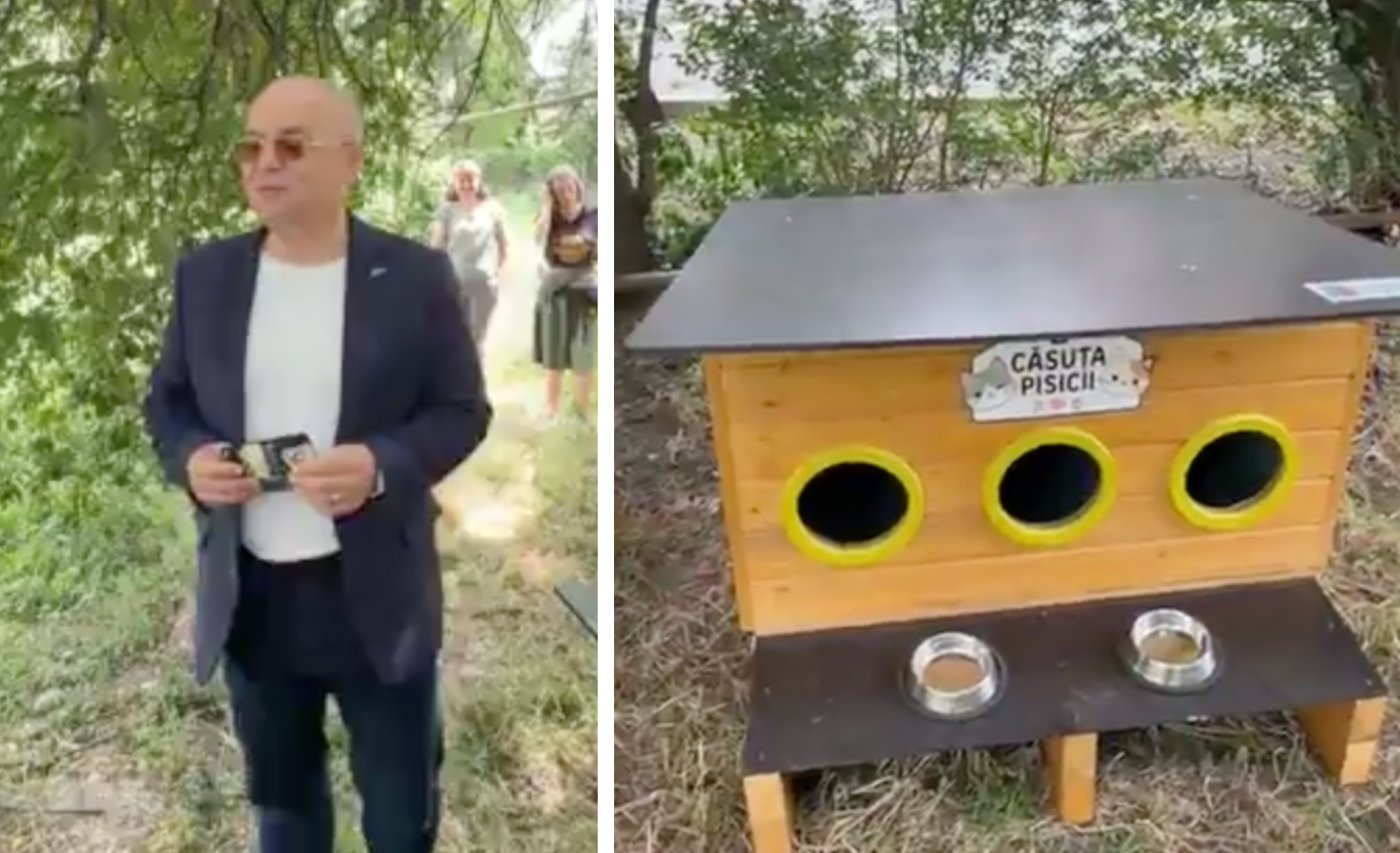 VIDEO. Primele căsuțe pentru pisicile comunitare din Cluj, instalate de Boc: Primăria oferă gratuit 80 de adăposturi asociațiilor de proprietari