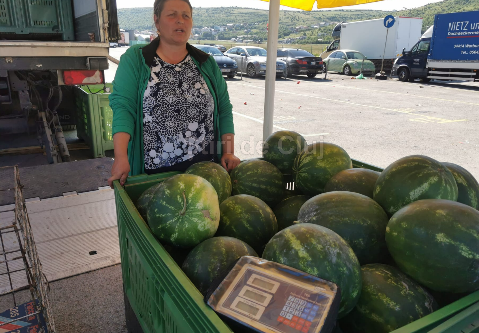 VIDEO. Primii pepeni de „Dăbuleni” au ajuns la Cluj din „patria” lubeniței din România. Cât costă și de unde puteți cumpăra la un preț imbatabil: 4 lei/kg!