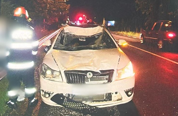 Accident grav la Cluj, un cal și două mașini implicate. O femeie de 30 de ani transportată la urgență. Calul, lovit în plin, a murit