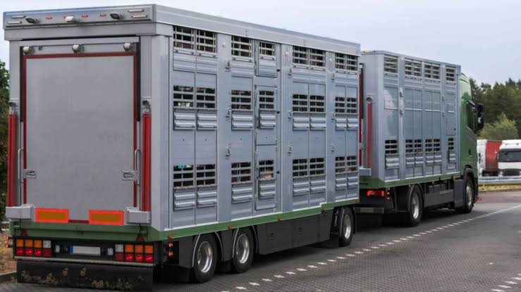 Caniculă și animale la drum: Primăria unei comune din Cluj trage un semnal de alarmă și cere respectarea normelor europene stricte