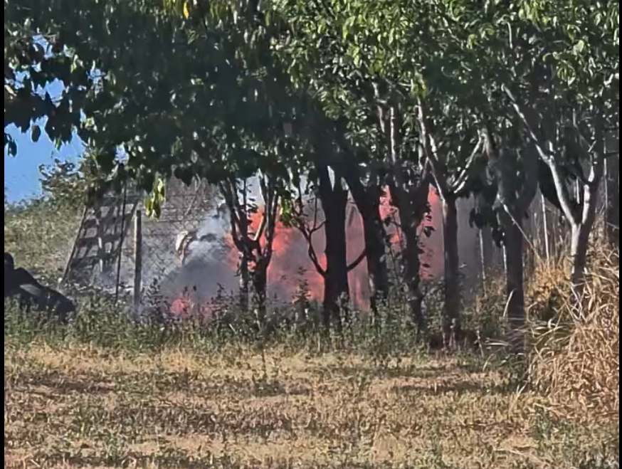 VIDEO. A luat foc o livadă din Cluj-Napoca. Localnicii au cerut disperați ajutor, când incendiul mistuia tot: „Avem nevoie de ajutor!”