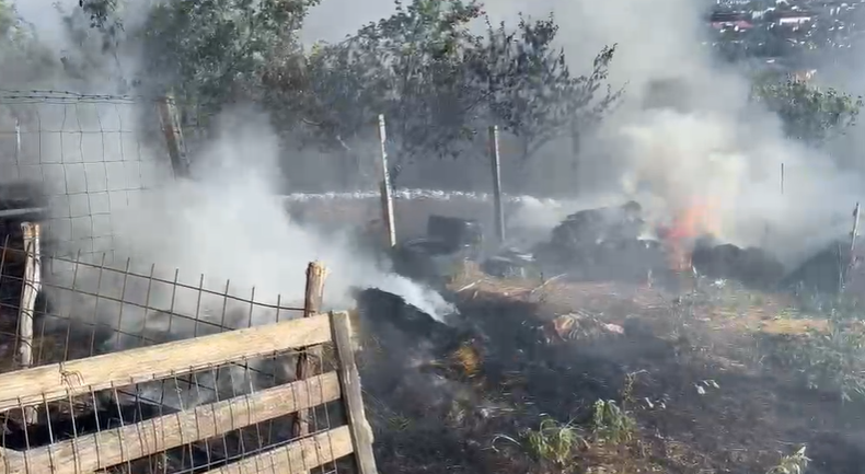 VIDEO. Focul a izbucnit în Cluj-Napoca! Trei autospeciale intervin pentru stingerea unui incendiu