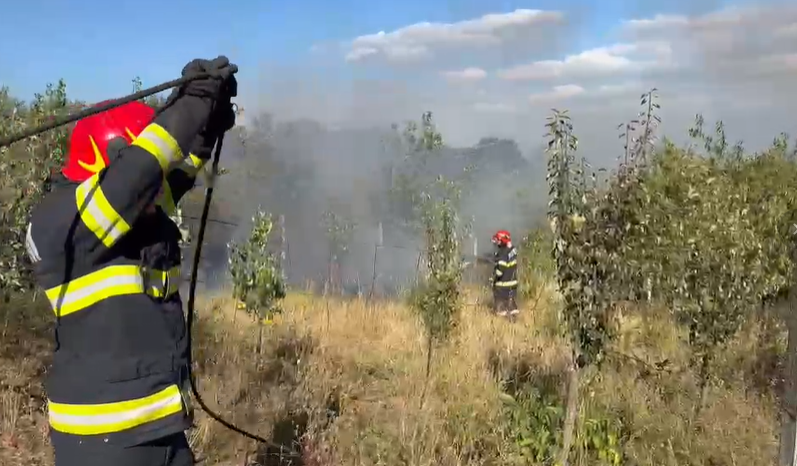 VIDEO. Incendiu puternic în Cluj-Napoca! Flăcările au cuprins 4 hectare de livadă și amenințau casele din apropiere